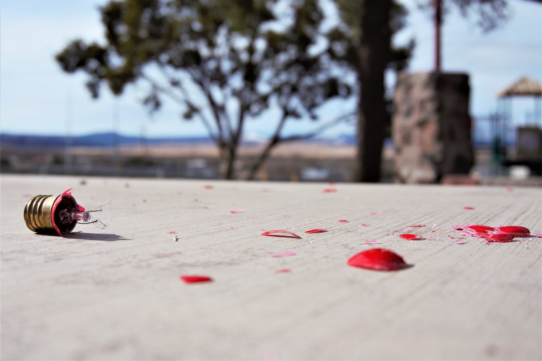 Christmas lights vandalized, festival cancelled